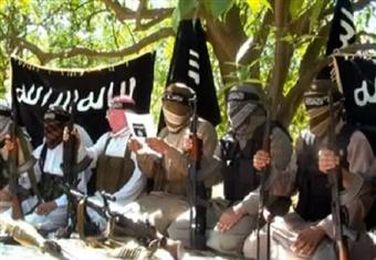 مصدر عسكري: فيديوهات أنصار بيت المقدس ''قديمة'' ونشرها تجاوز للحرية 