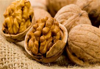 9 فوائد رائعة لعين الجمل