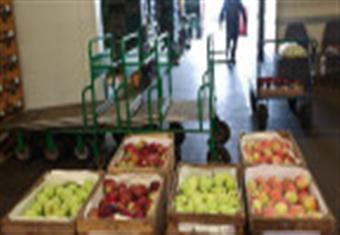  برنامج الأغذية العالمي: أزمة الغذاء الحالية هي الأخطر منذ الحرب العالمية 