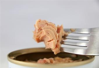 للحوامل: تجنبي تناول أسماك التونة بأنواعها