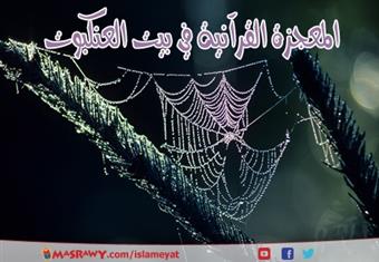 المعجزة القرآنية في بيت العنكبوت 