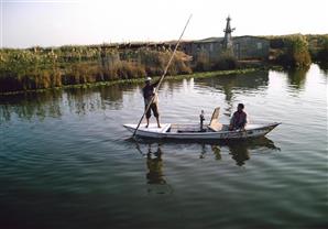 الثروة السمكية توضح سبب تلوث بحيرة المنزلة