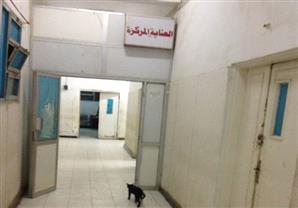 بالصور- قطط ومياه ملوثة بوحدة العناية المركزة بمستشفى فاقوس العام 