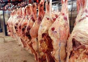 الزراعة: استمرار طرح اللحوم الحية والمجمدة في منافذ البيع