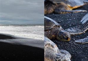 بالصور - الشواطئ الملونة.. هل شاهدتها من قبل؟