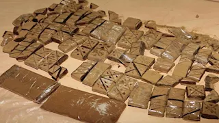 ضبط شخصين بحوزتهما 75 طربة حشيش وأسلحة نارية في كفر الشيخ