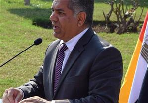 الدماطي : إنشاء متحف آثار الصحراء الغربية بالوادى الجديد