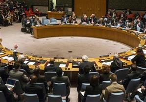 الوطنية لحقوق الإنسان: عضوية مصر بمجلس الأمن وراؤها حنكة سياسية كبيرة