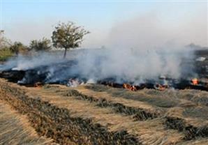 البيئة: استمرار الأنشطة اليومية بالبحيرة والشرقية لمواجهة تلوث الهواء