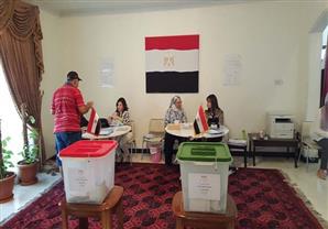 المتحدة لحقوق الإنسان: 40 % نسبة التصويت في الخارج و28 % فى الداخل