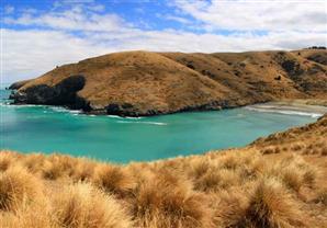 بالصور: رحلة لاستكشاف نيوزيلندا