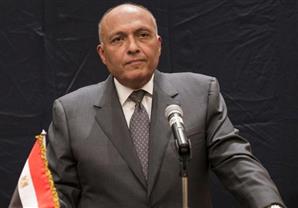 شكرى: الحل السياسى فى سوريا يتمثل فى تطبيق مخرجات مؤتمر جنيف