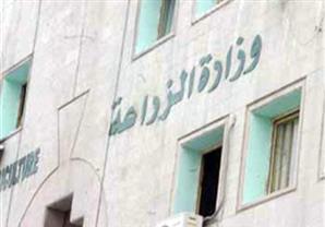 "الزراعة" تحصل على 56 % من إنتاج شركات الأسمدة