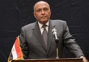 وزير الخارجية يبحث في اليابان توفير الدعم للمشروعات القومية المصرية