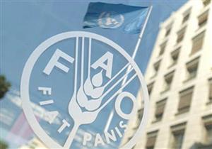 "الفاو" تعلن حاجتها لوظائف للعمل بمصر ودول أخرى