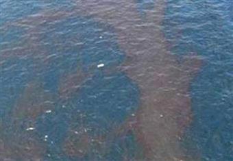 "البيئة": إزالة بقعة السولار أمام قوص وفتح محطات المياه المغلقة