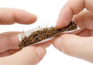 الجهاز المركزي للتعبئة: إحصائية ورق البفرة "مستفزة".. وعلى الدولة التحرك