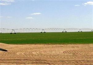 الإحصاء: 165% زيادة في مساحة الأراضي المستصلحة العام الماضي