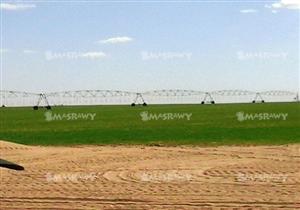 نائب لجنة مشروعات الري: مشروع المليون ونصف فدان لن يتأثر بسد النهضة