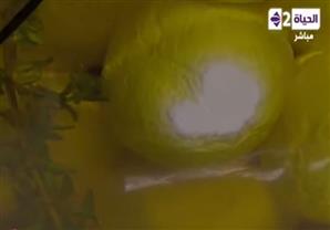  كرات اللبنة بزيت الزيتون والزعتر - الشيف محمد فوزي