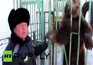 دب داخل سجن بسيبيريا للترفيه عن السجناء