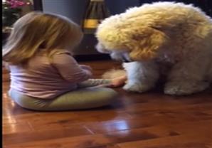 طفلة تعلّم كلبها المصافحة