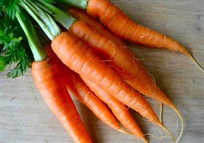 هل الجزر مفيد حقاً للنظر؟ 