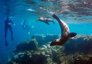 بالصور - أجمل 9 مواقع الغوص حول العالم 