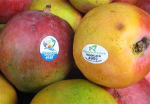 تعرف على معاني الملصقات على الفواكه ولماذا توجد ؟