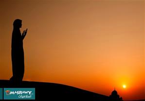 دور المرأة في المجتمع النبوي