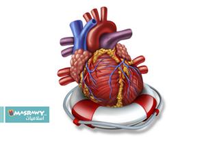 كيف تحيي قلبك من جديد؟!