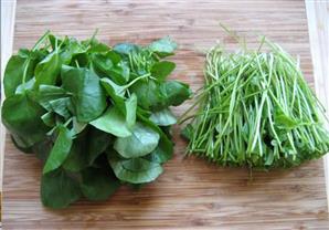 الجرجير يقي من الإصابة بالسرطان .. اكتشف