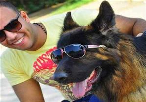 الـ "جيرمن شيبرد".. الكلب الشرطي صديق الاطفال