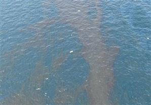 رئيس "البحوث الفلكية": 3 أسباب محتملة وراء "النشع النفطي" بالبحر الأحمر