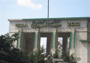 أول متحف حيواني.. أنشأته القوات المسلحة ويضم أكثر من ألفي نوع