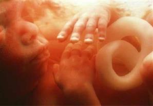 عالم بارز: الهندسة الوراثية للأجنة واجب أخلاقي