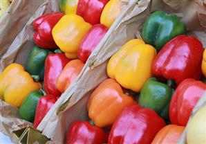 الفلفل الحلو وفوائده العلاجية المذهلة