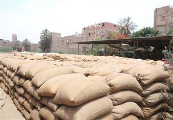 التموين: استلام 4.354 مليون طن قمح محلي حتى الآن