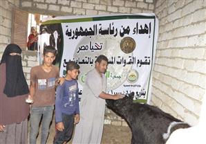 بالصور- انطلاق مبادرة السيسي لتوزيع 10 آلاف رأس ماشية على المحتاجين