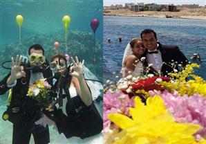 زفاف "يسرا وكريم".. أول "زغروطة" تحت الماء