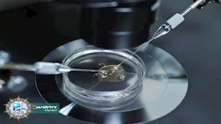 طفرة جينية قاتلة.. تحذير إسرائيلي عاجل لمواليد "التبرع" في السبعينيات والثمانينات