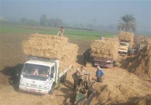 البيئة تدعم مشروع التنمية الريفية بـ 15 جرار زراعى و15 مكبس لقش الأرز 