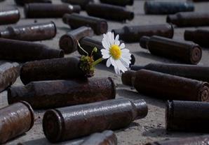 حتى النباتات بتنفجر شاهد طريقة الانفجار