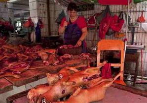 رغم كورونا.. أسواق تبيع الخفافيش والثعابين والكلاب مازالت تعمل بجنوب شرق آسيا