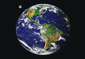 العلماء يحذرون من بدء سادس موجة انقراض في تاريخ الكرة الأرضية