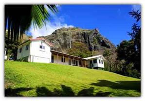 بالصور- تعرف على جزيرة بيتكيرن التي يسكنها 48 مواطنًا