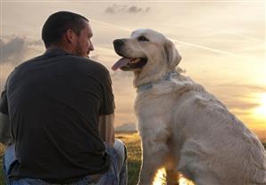 الفرنسيون لا يتعاملون بلطف مع كلابهم كما يشاع عنهم