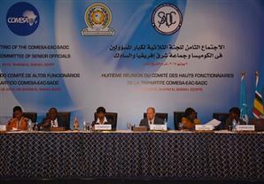  مسؤولة زامبية تشيد بدور مصر لإتمام اتفاق تجارة حرة بين 3 تكتلات أفريقية