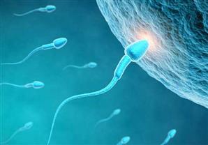 أداة ذكية جديدة لقياس الخصوبة عند الرجال