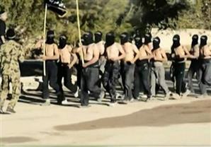 نبذة عن تنظيم "ولاية سيناء"